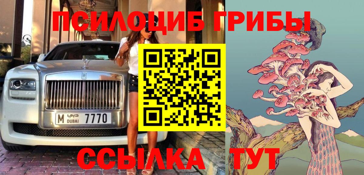 Псилоцибиновые грибы Psilocybe  купить наркотик  Вход с VPN  Наро-Фоминск  Галлюциногенные грибы GOLDEN TEACHER 