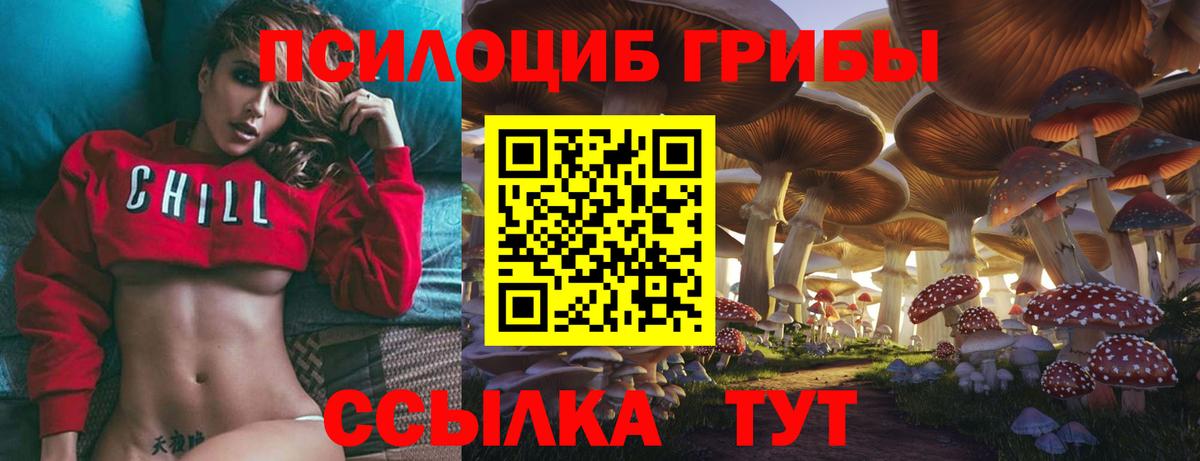 Галлюциногенные грибы прущие грибы Наро-Фоминск